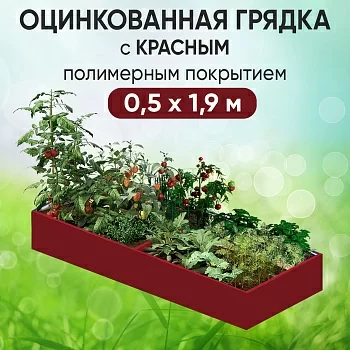 Грядка красная (0,5 х 1,9)
