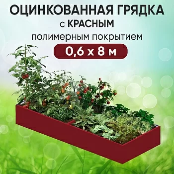 Грядка красная (0,6 х 8)